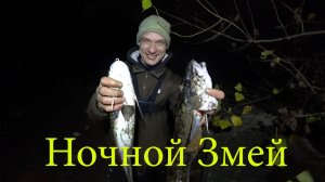 ОБЛОВИЛ ВСЕХ НА БЕРЕГУ! МОЙ ТРОФЕЙНЫЙ НАЛИМ