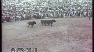 Encierro de San Sebastián de los Reyes del 25 de agosto de 1991