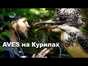 Сотрудники AVES на Южных Курилах - в поисках края Земли | Film Studio Aves