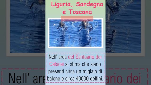 INDOVINA LA REGIONE: IL PATRIMONIO NATURALE