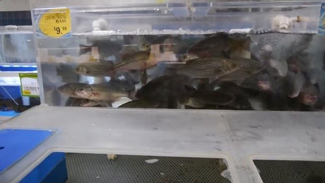 Panasonic Lumix G5 Movie Test for indoor light at the Market смотреть онлайн