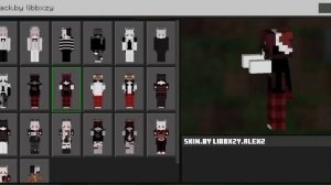 15+ Skins With Cosmetics/Capes | Minecraft MCPE