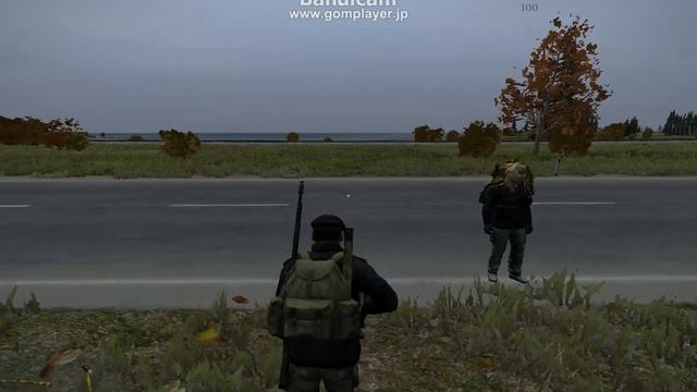 DayZ SA Explosive GrenadeとRGD-5Grenadeの違い