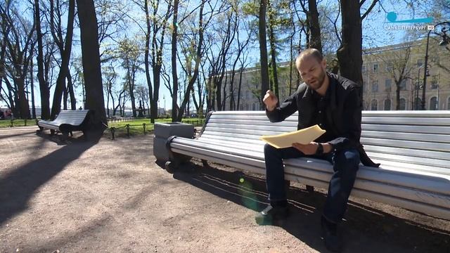 Тополь в городе. Мифы про аллергию на пух и кронирование деревьев
