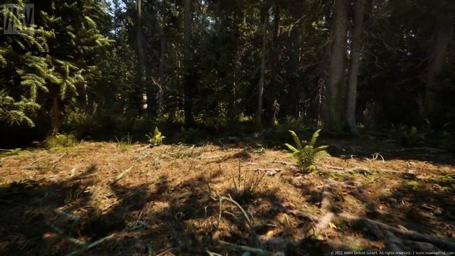 MAWI Conifer Forest | Unreal Engine 5 | Roaming The Forest Daytime #unrealengine #UE5 #gamedev