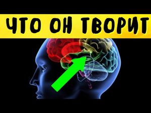5 ЛУЧШИХ СПОСОБОВ ПОЧИСТИТЬ СОСУДЫ МОЗГА!