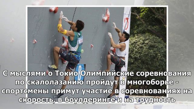 Глава федерации: российские скалолазы будут претендовать на медали Олимпиады-2020 смотреть онлайн