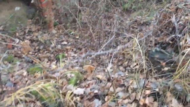 Поход в лес, нашёл в лесу выкопанные Могилы, заброшенный дом.mp4 смотреть онлайн