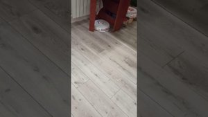 Как работает робот-пылесос моющий Xiaomi RoboRock s7