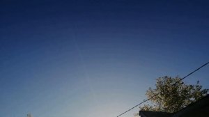 Атака ястреба.Ястреб тетеревятник забирает Брянского голубя.Гон Брянских высоколетных голубей 2020.