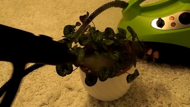 Пароочиститель KITFORT КТ-909. Обработка растений паром. смотреть онлайн