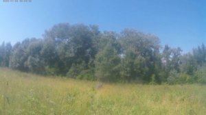 Земляничная полянка.😊