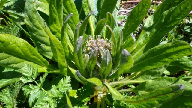 Поход на горный массив Бойка 23 апреля 2013 г. смотреть онлайн