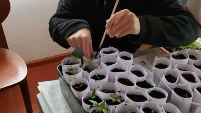 Речицкий ТЦСОН. Отраслевая эстафета «Единство в наших сердцах» смотреть онлайн