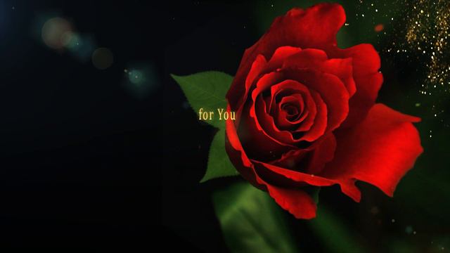 Best Wishes!🌺 All the best wishes  for You on this beautiful day ! 🌺 смотреть онлайн