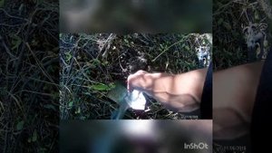 поиск монет  с квест Х5