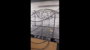 Изготавливаем мангал! Плазморез в действии!