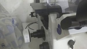 011  Знакомство с люминесцентным микроскопом