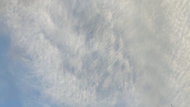 Сказка Волшебное дерево смотреть онлайн