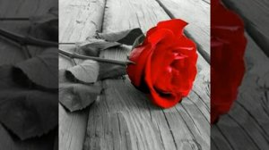 Hommage à Michel Delpech