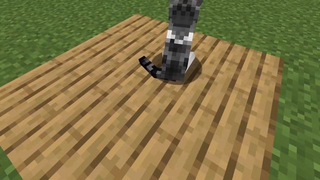 Minecraft New Cats!! (Better Cats Resource Pack) 1.20+