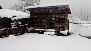 Камышанова Поляна 23.05.2020