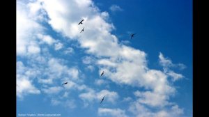 Народные приметы на июнь