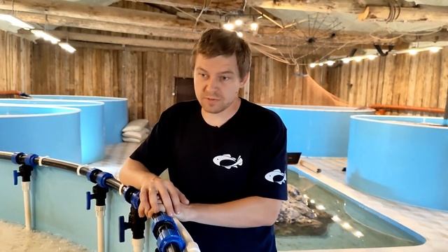Какие есть секреты понижения себестоимости продукции УЗВ #узв #бизнесвдеревне #акварост