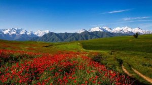 Саламат Садыкова - кыргыз жери