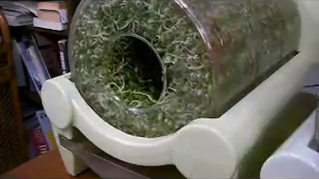 Rota Garden смотреть онлайн