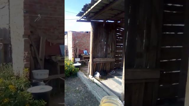 колхоз большое дышло смотреть онлайн