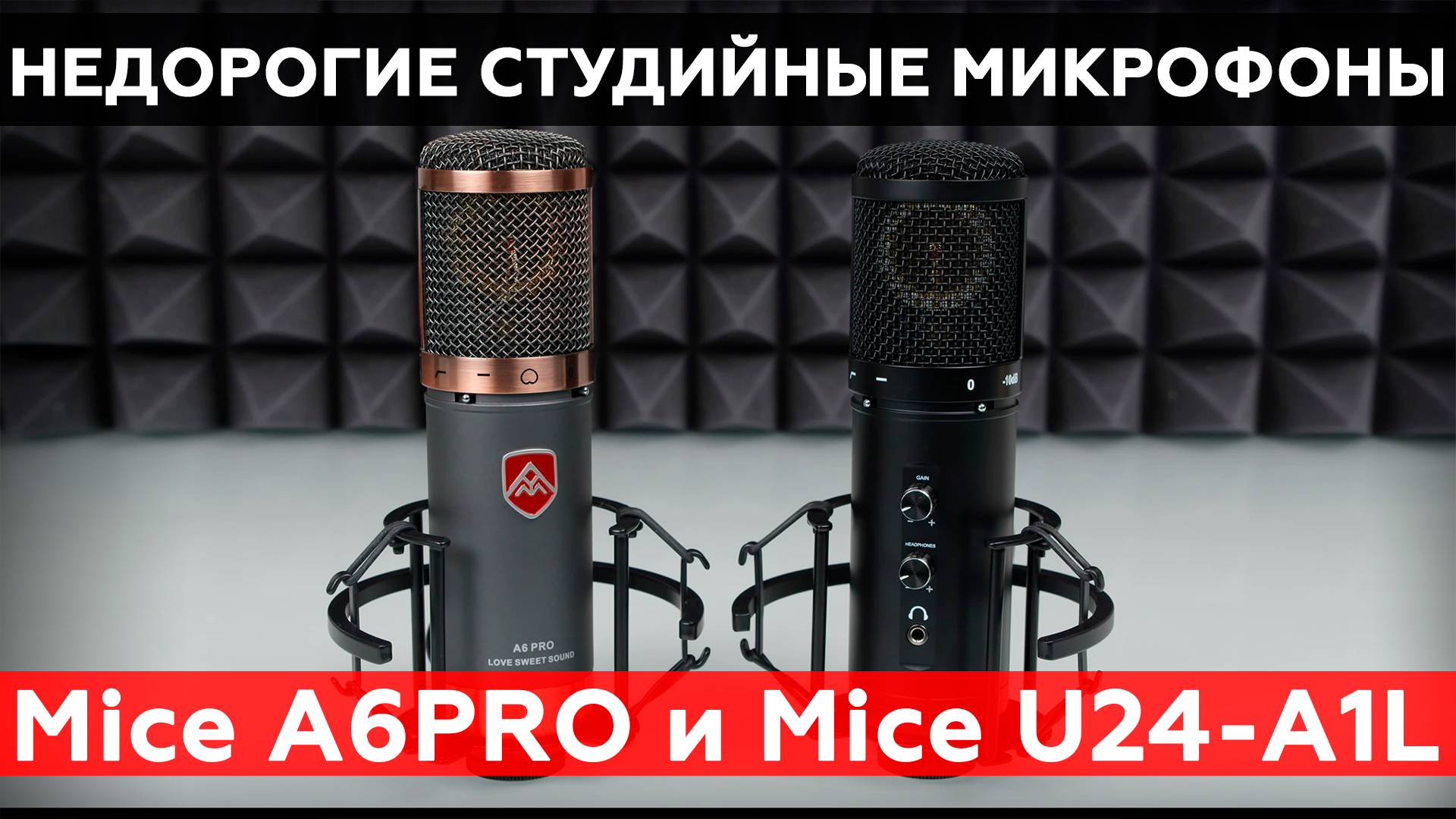 Mice A6PRO и Mice U24-A1L – микрофоны для звукозаписи с большим капсюлем 34 мм