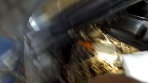 не запускается на холодную  toyota vitz