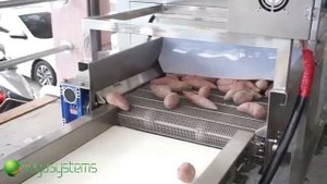 Машина для сушки различных продуктов питания горячим воздухом Vega F Dry System 800