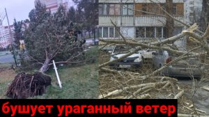 Ураган