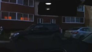 Светодиодная подсветка салона VW POLO SEDAN