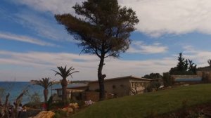 Отель SANI BEACH 5* (Греция, Халкидики) самый честный обзор от ht.kz