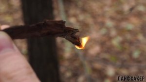 Как разжечь костёр: 3 нестандартных способа | Лайфхакер