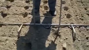 Посадка картофеля без лопаты Planting potatoes without a shovel