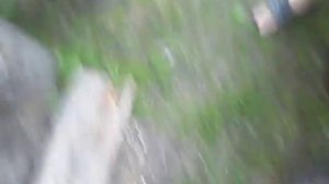 Обзор скутера ABM Tornado SG