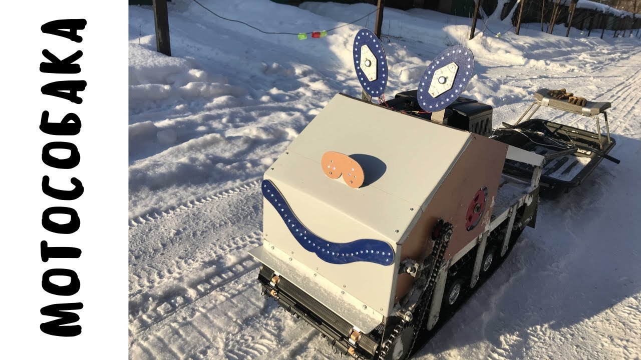 САМАЯ УЛЫБЧИВАЯ МОТОСОБАКА.