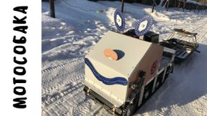 САМАЯ УЛЫБЧИВАЯ МОТОСОБАКА.