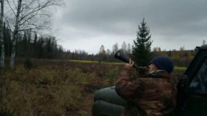 Зов Лося манком))