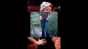 VALERIE PERRINE