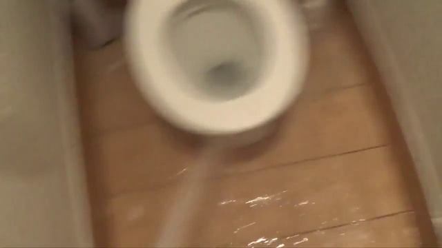 Как люди ходят в общественный туалет!!! смотреть онлайн