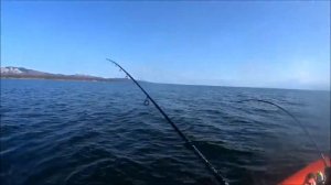 Супер рыбалка.Зубатка.Морская собака.Сахалинская рыбалка.Страшная рыба.