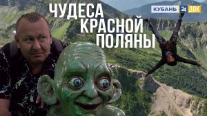 Курорты Большого Сочи любимы и востребованы круглый год