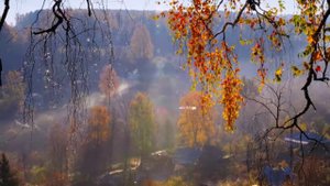 ТОТО Осенняя песня