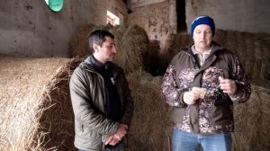 Как распознать ламинит у лошадей? Профилактика ламинита. Содержание лошадей.Коневодство.Ветеринария