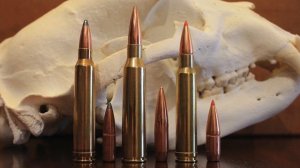 338 Lapua vs 300 Win Mag vs 338 Win Mag: What's Best For You?